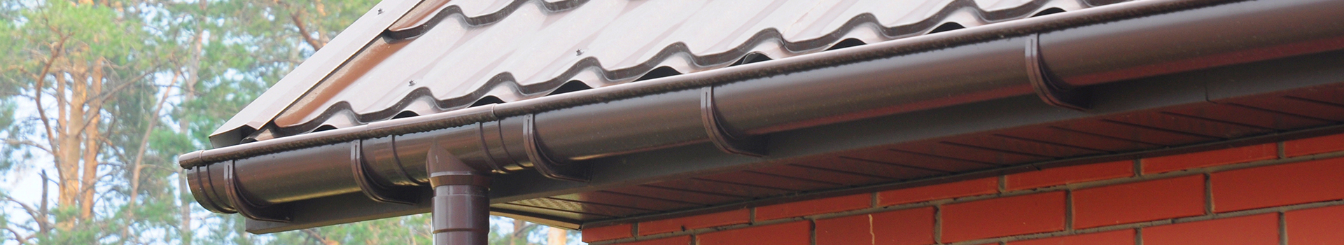 Main Banner